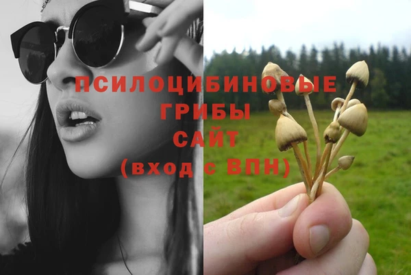 таблы Алексеевка