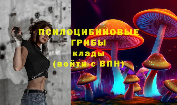 винт Арсеньев