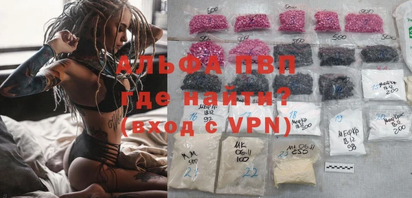 крисы Алексин
