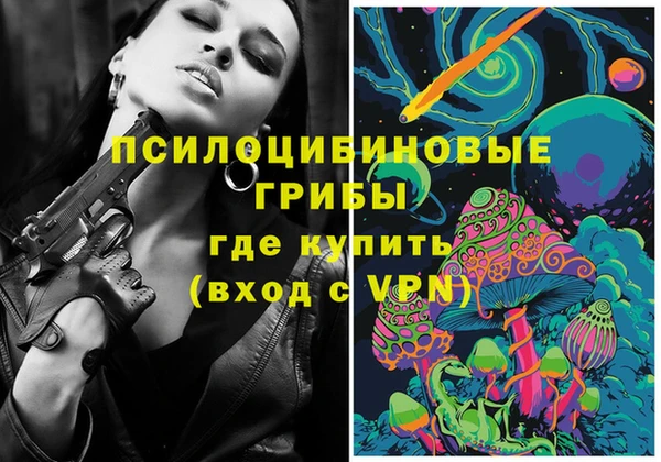 винт Арсеньев