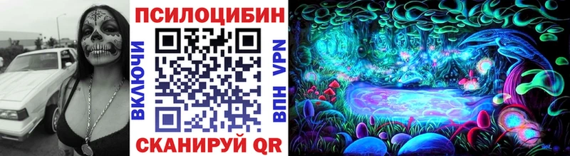 Галлюциногенные грибы Psilocybe  Чебаркуль 